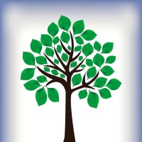 瑜伽:甩脂暴瘦10斤减肥操,帮助提高身体基础代