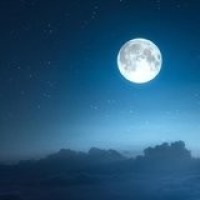 林彪在中央到底有没有实权,开国上将罗荣桓说