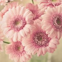 瓷砖美缝教程,学会了轻松省钱