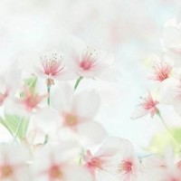 家庭减肥操视频大全 10分钟减肥操教程健美操