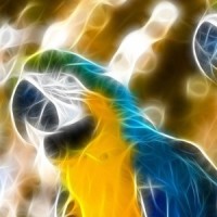 王者荣耀全女英雄死亡语音,一个比一个撩人