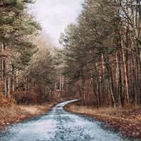 2018年3月目前各大音乐播放器播放量最多的歌