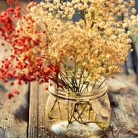 任泉与梁小冰早年照片曝光,简直是颜值的巅峰