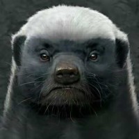 《巨神战击队》组建超救分队的初衷,成为龙马