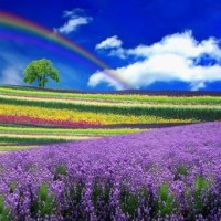 杉杉来了:封腾向全公司公开和薛彬彬关系,薛彬