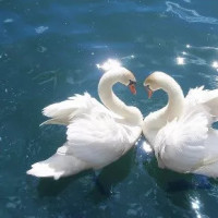 改版后滴滴车主抱团注销,我们可能再也打不到