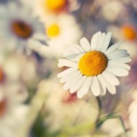 王牌对王牌捉妖记这一期,真的对蔡少芬服气,也