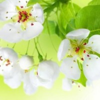 格格演唱走天涯,降央卓玛被她的音色折服,被她