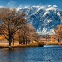 燕双鹰:上海之上 城中之城 打一地名 你知道吗