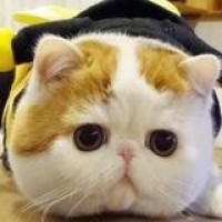 琵琶大师吴玉霞 彝族舞曲 硕士研究生导师就是