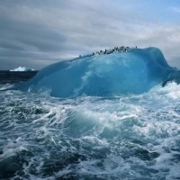 《开封府传奇》黄维德火了,张檬火了,姜潮火了