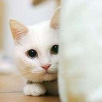 2018最新淘宝开店教程流程 开淘宝店怎么找货