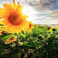 丹丹和杨大爷同步鬼步舞,人老心不老,跳的很有