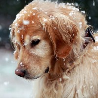 这就是街舞:中国震感舞第一人杨文昊陷入深深