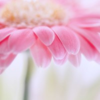 牌出境,竟然被粉丝忽略帅哥,王源特意留10字留言