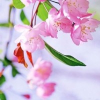 杨幂沈梦辰360°花式拒绝压缩饼干,教官严肃脸