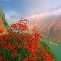 经典伤感情歌《梁祝化蝶》太好听了