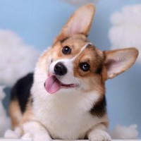 农村姑娘工地加班,能娶到这样的媳妇有福气!