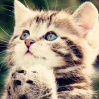 舞蹈达人:动作干净简单帅气的hiphop舞蹈,值得