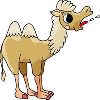 媳妇的美好时代:毛峰和潘美丽意外相撞后惊为