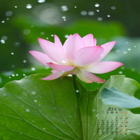 张艺兴开心得像个两百斤的胖子,张艺兴表情包