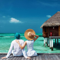 文松和宋晓峰去相亲太粗鲁,杨树林直接想把女