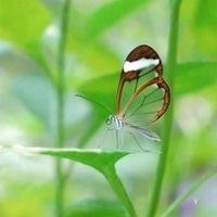 郑多燕减肥操中文版全集健身操-30分钟甩油操