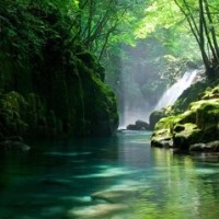 迈克尔杰克逊5岁时唱的这首《谁爱你》,沁人心