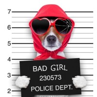 闲听音乐 情歌对唱 付笛声、任静《知心爱人》