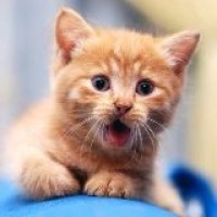 保安队的日子 岳云鹏孙越爆笑相声