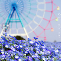 王者荣耀:萌之泪伤何许人也,峡谷能和梦之泪伤