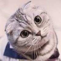 励志歌手王亮 差一步 高进作词 2018最新神曲 