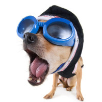 汪涵:现代人称呼的宵夜一词,来源于古代青楼