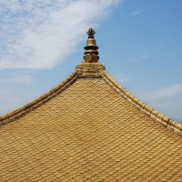 运球的基本动作!想学篮球运球的看过来!