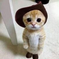 猴子太脏了,刚吃完棒棒糖就把脚趾头塞进嘴里