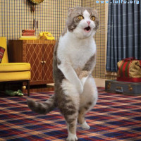 鹿晗关晓彤一起参加综艺,全程甜蜜互动