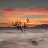 印度大爷烤羊头,最后直接铺在芭蕉叶上吃,太大