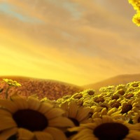 厉害了,墨西哥大地震32周年当天再遇强震!历史