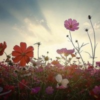 《小伶玩具》小伶姐姐带你们乘坐芭比豪华飞机