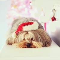 小伶玩具:小伶姐姐去美国环球影城电影拍摄地