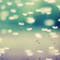 朱德元帅在中央到底有没有实权,为何管不了粟