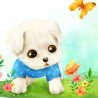 幽默:台湾人看大陆:大陆生活,你一定要会使用微