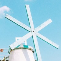 主人教八哥说话,但是八哥学不会还飙了一句脏