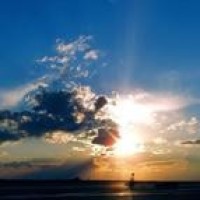 兽王争锋:揪揪表演杂耍5个苹果,最后它把苹果