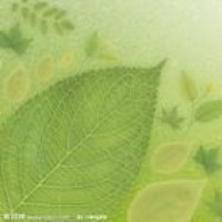 章子怡酒后吐真言,曝嫁给三段婚史的汪峰真正