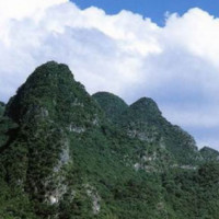 杨丽萍广场舞《一晃就老了》新颖舞步,好听又