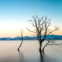 云裳广场舞《哑巴新娘》广场舞32步,广场舞视