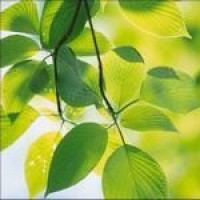 金马影帝孙越在台湾病逝,网友:愿老先生一路走