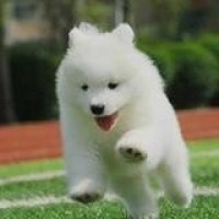 严顺开小品 张三其人 高清1993年央视春晚小品