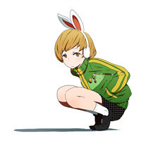 农村小哥发明自动捕鸟陷阱,一下子就爪到数只